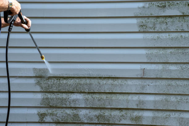 Best Yard Waste Removal  in Belton, MO