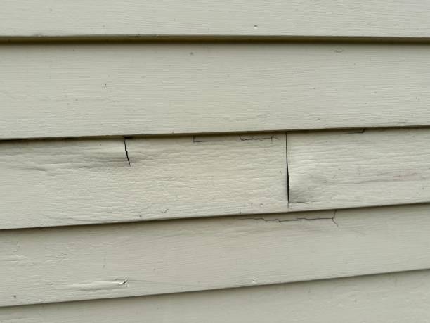 Best Foreclosure Cleanout  in Belton, MO